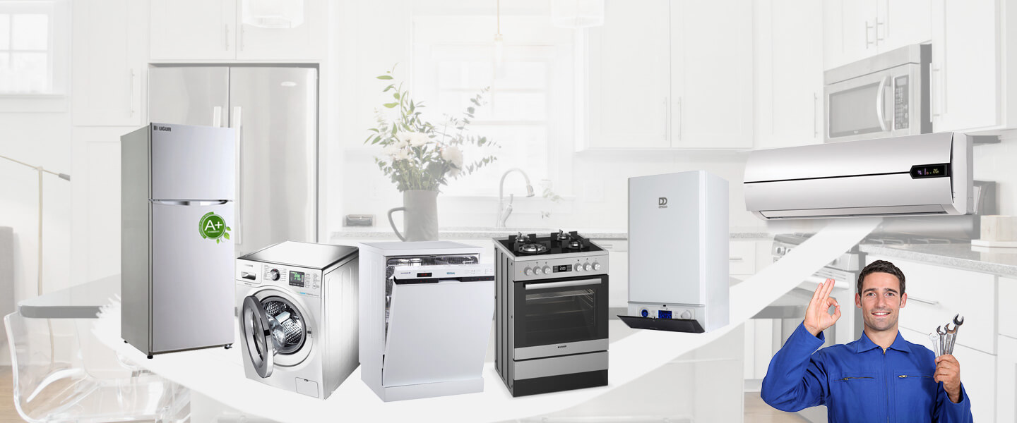 Güzelyalı Electrolux Servisi